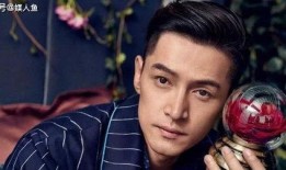 胡歌谢娜最新爆料,揭秘娱乐圈背后的故事